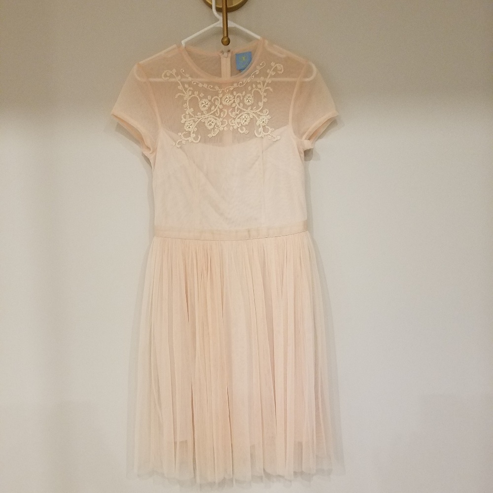 Ce Ce Peach Netting Dress